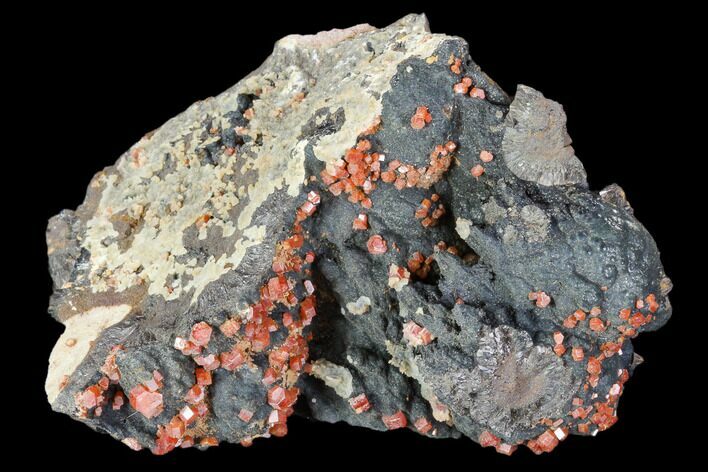 Red Vanadinite Crystals On Manganese Oxide - Morocco #103600
